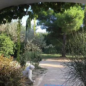 Hébergement de vacances La Maison Des Voyageurs, Arles